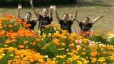 チューリップなど３０万本の花彩る　「夢追い長島花フェスタ」　鹿児島|TBS NEWS DIG