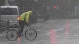 台風6号　JR中央線は特急45本運休　学校は138校が休校措置　このあとも雷を伴った強い雨や強い風が吹くところが|TBS NEWS DIG
