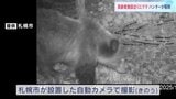 高齢者施設近くに居座り続けたクマ1頭を駆除 ハンターが発砲「2発の銃声が響き渡りました」 体長1.1mのメス 札幌市|TBS NEWS DIG