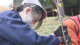小学生が遊園地に桜を植樹 卒業記念 河津桜など10本に思いを込めて 大分・別府市 | 大分のニュース|OBS NEWS|大分放送