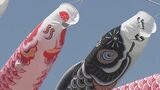 「こどもの日」を前に約250匹の鯉のぼりを飾りつけ 新型コロナの影響で4年ぶり 主催する市民団体の高齢化などで「ことしが最後」に 三重・熊野市 | 名古屋・愛知・岐阜・三重のニュース【CBC news】 | CBC web