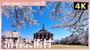 【4K】絶景の桜と「ラ・リューシュ」の競演【JNN sakuraドローンDIG 2026】|TBS NEWS DIG