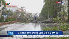 台風20号がベトナム直撃…竜巻も発生　13人死亡46人負傷| TBS CROSS DIG with Bloomberg