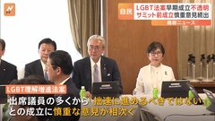「早急な法制化やれるような状況でない」“LGBT法案”G7前の早期成立に自民まとまらず　慎重意見相次ぐ| TBS CROSS DIG with Bloomberg