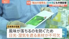 「数千万とか1億円上がってしまう」“輸出の優等生”日本茶にも中東影響　包装素材の製造コスト急増、インク溶剤も調達不安定| TBS CROSS DIG with Bloomberg