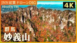 【4K】日本三大奇勝 紅葉に映える妙義山【JNN 紅葉ドローンDIG 2024】|TBS NEWS DIG