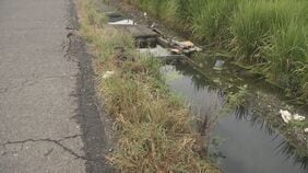 三輪タイプの「特定小型原付自転車」を試乗中の79歳男性 用水路に倒れているのが見つかり搬送先の病院で死亡 運転中に転落か 愛知・稲沢市 |TBS NEWS DIG