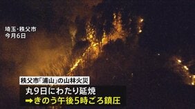 埼玉・秩父市の山林火災 鎮圧　発生から丸9日 約143ヘクタール焼ける|TBS NEWS DIG