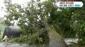台風6号ドキュメント 各地で被害 鹿児島|TBS NEWS DIG