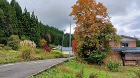 クマに襲われたとみられる遺体は近くに住む70代の女性と判明　市はわな設置で捕獲を試みる　秋田・湯沢市|TBS NEWS DIG