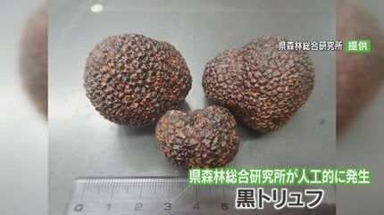 img_1f1fdb44208b231ce0d85bea28