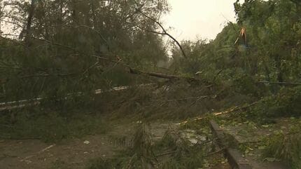 台風12号9番セット 台風情報】台風9号 風で飛んできた看板が頭に当たるなど沖縄で12人がけ