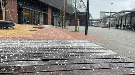 長沢風雪 白馬八方尾根 310cm / 雪 | Snownavi - スノーナビ