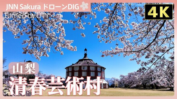 【4K】絶景の桜と「ラ・リューシュ」の競演【JNN sakuraドローンDIG 2026】|TBS NEWS DIG