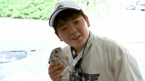 「いつかこの言葉を無くしたい」見て、触って、味わう "もったいない魚"を知る宿泊プランが人気=静岡・熱海市 | 静岡のニュース | SBSNEWS | 静岡放送