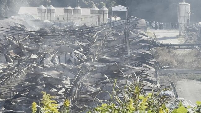 養豚場で大規模火災 2人死亡し、豚およそ4000頭焼ける 2人の遺体の身元が判明 死因は1人が焼死、もう1人は焼損が激しく不明のまま 鳥取県南部町|TBS NEWS DIG