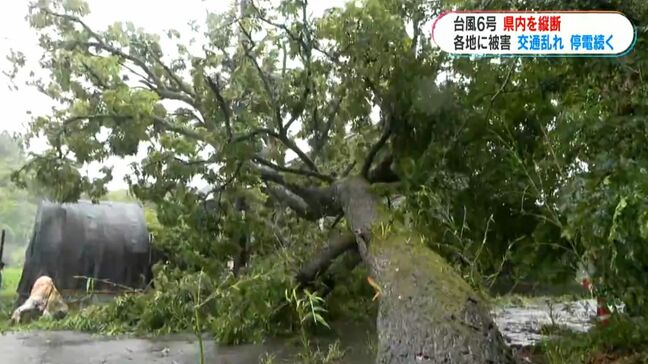 台風6号鹿児島県縦断ドキュメント 奄美群島で2万5240戸停電 与論町では浄水場が破損し臨時給水所を設置|TBS NEWS DIG