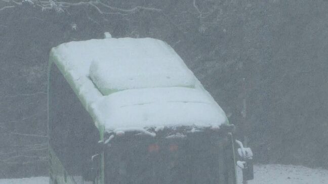 今季一番の強い寒気 蒜山では強い風ともに雪 今夜からあすの午前にかけて寒さがピークを迎える見込み【岡山】|TBS NEWS DIG