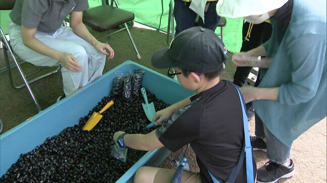 大任町で「しじみ祭り」　しじみ汁の振る舞いも|TBS NEWS DIG