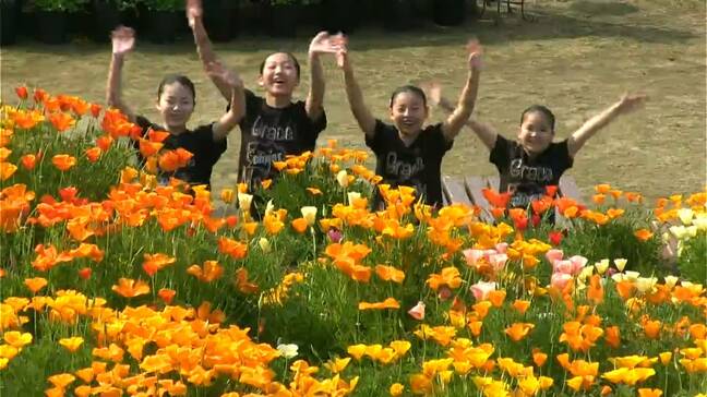 チューリップなど３０万本の花彩る　「夢追い長島花フェスタ」　鹿児島|TBS NEWS DIG