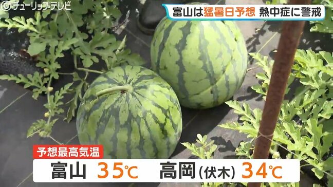 富山市は猛暑日の予想 きょうも午前中から真夏日で熱中症警戒アラートの危険な蒸し暑さ|TBS NEWS DIG