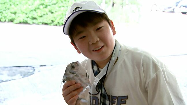 「いつかこの言葉を無くしたい」見て、触って、味わう "もったいない魚"を知る宿泊プランが人気=静岡・熱海市|TBS NEWS DIG