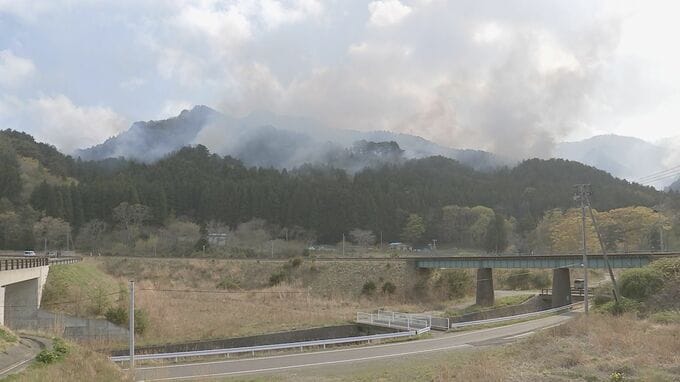 岩手県大槌町で発生した林野火災を激甚災害に指定　来月3日施行|TBS NEWS DIG