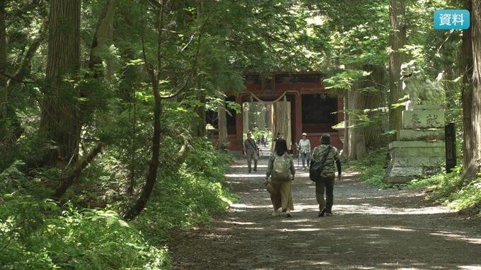 戸隠神社奥社の参道で観光客など11人がハチに刺される　小学生含む４人搬送も軽症　杉の幹にスズメバチの巣　長野　|　SBC NEWS | 長野のニュース | SBC信越放送