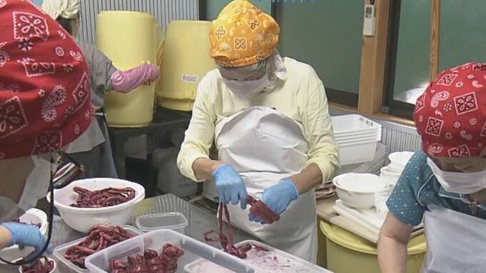 特産の漬物「くき漬け」作りが最盛期　シャキシャキとした食感が特徴　サトイモの一種「ヤツガシラ」の茎を塩とシソで漬け込む　三重・紀北町　　|　名古屋・愛知・岐阜・三重のニュース【CBC news】 | CBC web