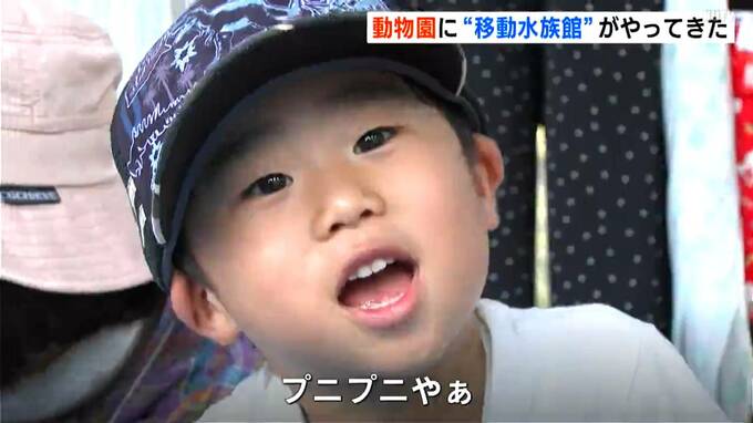 動物園に“海の生き物たち”がやってきた！オオグソクムシにナマコにヒトデ…「かたい！フワフワ！」移動水族館開催|TBS NEWS DIG