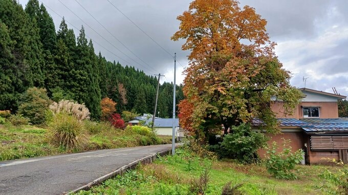 クマに襲われたとみられる遺体は近くに住む70代の女性と判明　「山に行く」と家族に言い残し前日から行方不明　秋田・湯沢市|TBS NEWS DIG