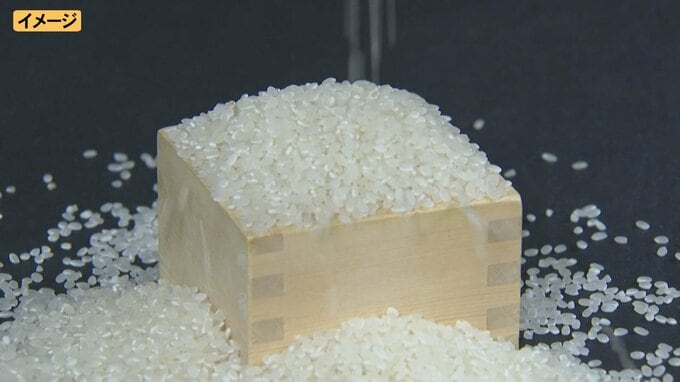 米穀卸売業者「鳥取県食」が特別清算開始命令を受ける　負債約6億5400万円　県内トップクラスの業容を確保していたが、県外大手の食品ディスカウント店の進出・近時の米価上昇などにより資金繰りも悪化し事業停止|TBS NEWS DIG