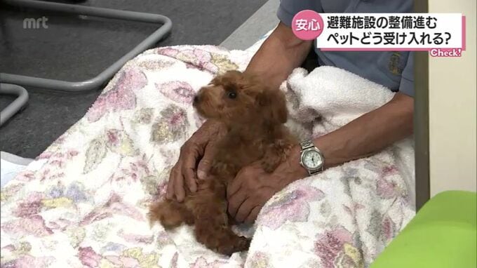 災害への備え　宮崎県内でもペット可の避難施設の整備が進む　利用方法や準備は？　|　MRTニュース ｜ ＭＲＴ宮崎放送