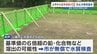 公園から基準値3.7倍の"鉛（なまり）"を検出　熊本市「人体への影響なし」　土の入れ替えと周辺の井戸水を調査へ　|　熊本のニュース｜RKK NEWS｜RKK熊本放送