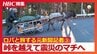「ロバと一緒に働き合いたい…」元新聞記者が相棒クサツネと北海道から千葉へ900キロ　東北のマチで見つめた震災の記憶 “あうんの呼吸”でゴールを目指した2か月の旅【完結編】　|　北海道のニュース｜HBC北海道放送