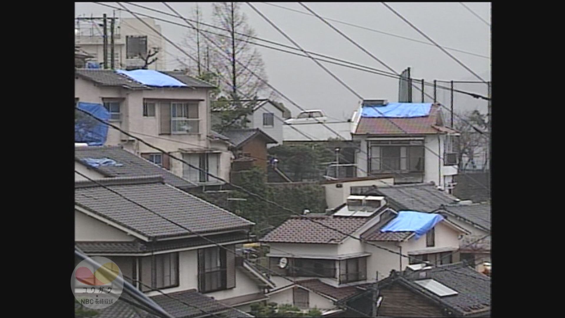 斜面地に広がる青い屋根「台風19号 猛烈な風で甚大な被害」ブルー