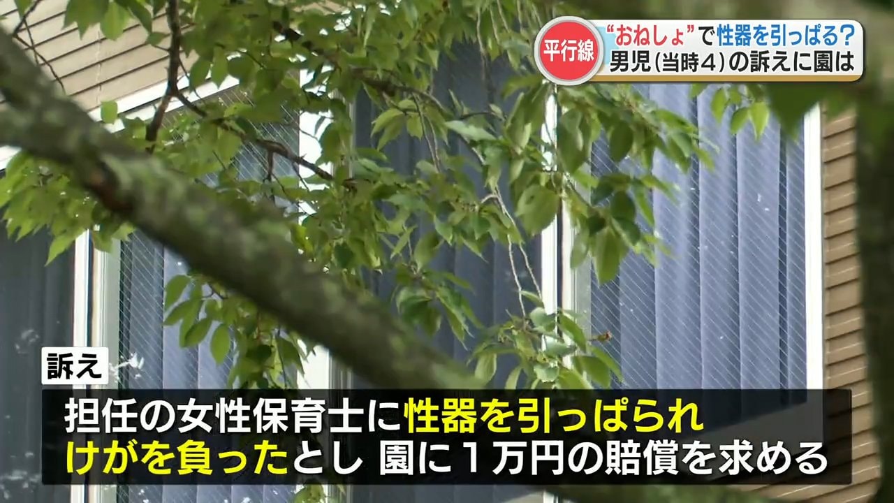 女性保育士に5歳の男の子が『トイレで “性器” を引っ張られ、けが』裁判 保育士も保育園も否定