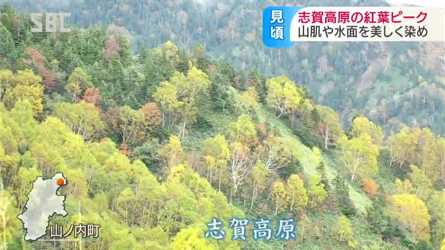 山肌を赤や黄色に染めて 志賀高原の紅葉が見ごろ 長野 山ノ内町 Tbs News Dig 山肌を赤や黄色に染めて 志賀高原の紅葉が見ごろ 長野 山ノ内町 Tbs News Dig
