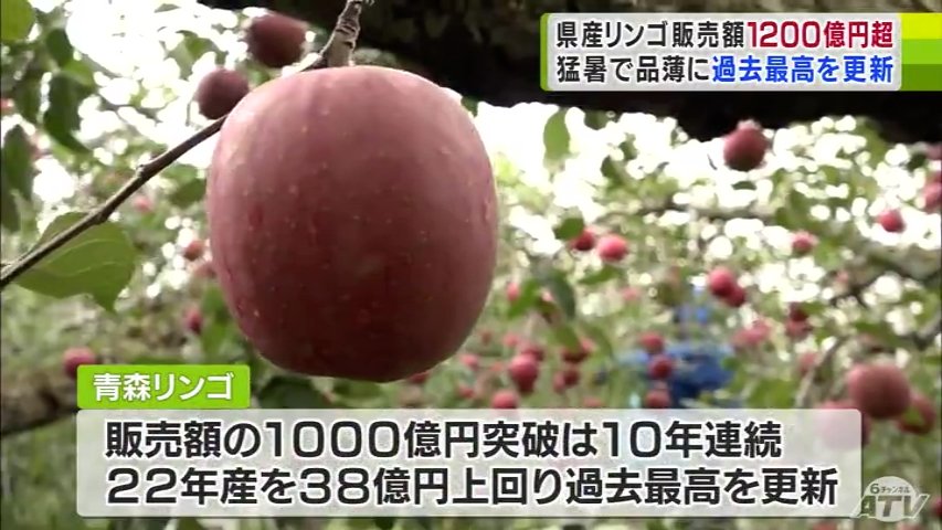 ももりんご様 楽天市場】FRPオブジェ 赤リンゴ・80cm置物 果物 フルーツ 林檎