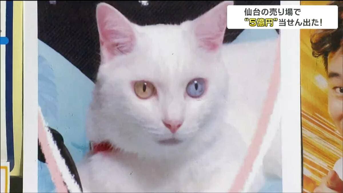 1等前後賞5億円が出た売り場に「幸運のネコ・みーちゃん」くじ券で