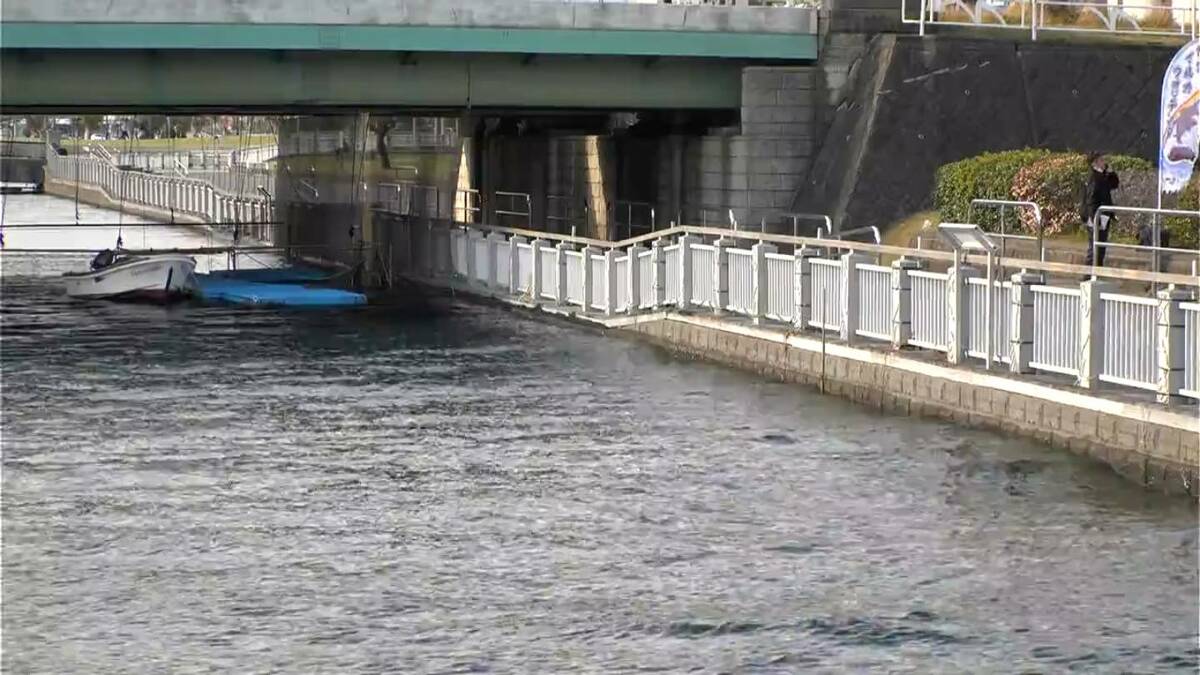 「人がうつ伏せに浮いている」かごしま水族館横の水路に男性遺体　「イルカ水路」は利用中止　鹿児島市 | 鹿児島のニュース｜MBC NEWS｜南日本放送
