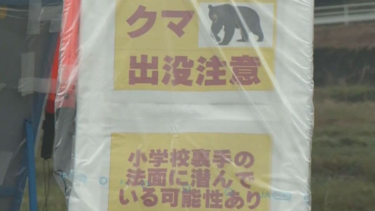 小学校そばの茂みできのう“クマ目撃” 柿を食べ続けやぶへ…近くにワナ仕掛け丹生川小学校と丹生川中学校はきょう臨時休校に 岐阜・高山市