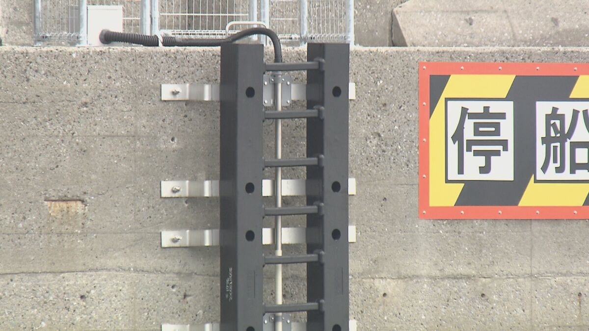 巨大津波観測計が別府湾に設置　最大で十数メートル観測可能　大分