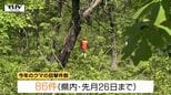 米沢市で成獣のクマ1頭目撃 朝日町では山菜採り中の男性がクマに襲われ大ケガ 県内でクマの目撃相次ぐ(山形) |TBS NEWS DIG