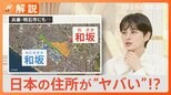 日本の住所が“ヤバい”!?“河野大臣発言”で注目、難しすぎる AIも把握困難?【Nスタ解説】|TBS NEWS DIG