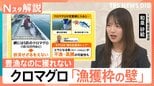「クロマグロ」豊漁なのに安くならないワケ　「漁獲枠」増えないと… 他の魚が“不漁・高騰”の懸念も【Nスタ解説】|TBS NEWS DIG