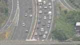 お盆休みの帰省ラッシュ　空港や高速道路で混雑続く|TBS NEWS DIG