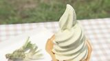 甘い?辛い?「わさびソフト」牧場併設のカフェ、しぼりたてミルクをソフトクリームに…福島 | 福島のニュース│TUF
