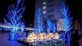 徳島文理大学高松駅キャンパスで初めてのイルミネーション「冬の風物詩として楽しんで」【香川】|TBS NEWS DIG