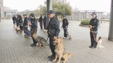 警察犬20頭に嘱託書交付 鼻の警察官の活躍に期待|TBS NEWS DIG